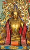 Amitayus