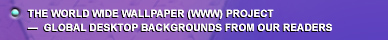 World Wide Wallpaper (WWW) Project